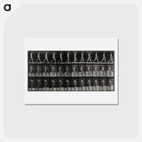 アートポストカード-Man Walking
 - エドワード マイブリッジ Postcard.