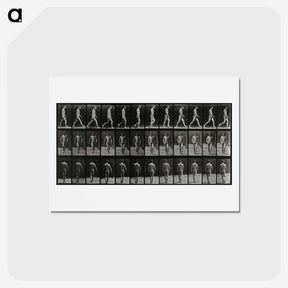 アートポストカード-Man Walking
 - エドワード マイブリッジ Postcard.