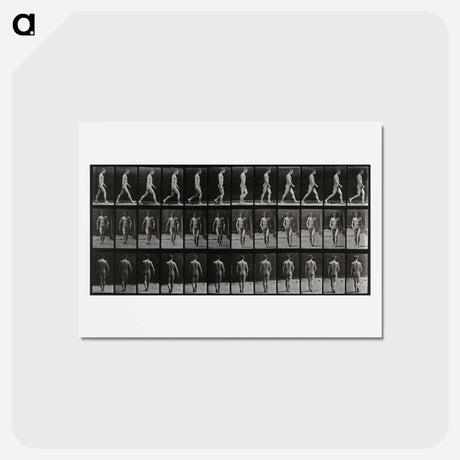 アートポストカード-Man Walking
 - エドワード マイブリッジ Postcard.