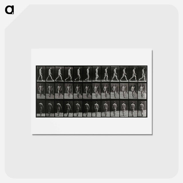 アートポストカード-Man Walking
 - エドワード マイブリッジ Postcard.