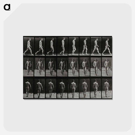 アートポストカード-Man Walking
 - エドワード マイブリッジ Postcard.