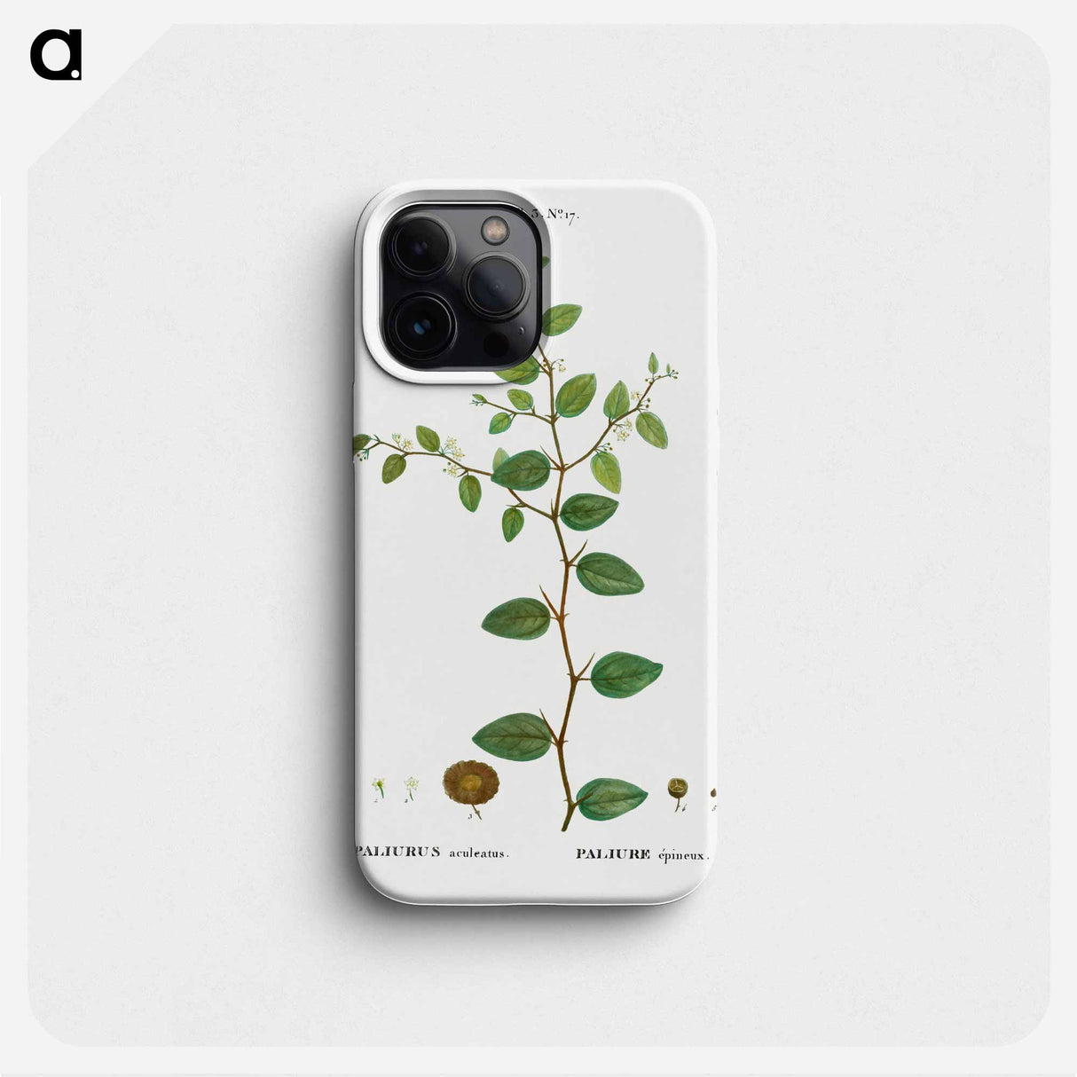 Christ's thorn, Paliurus aculeatus - ピエール ジョゼフ ルドゥーテ Phone Case.