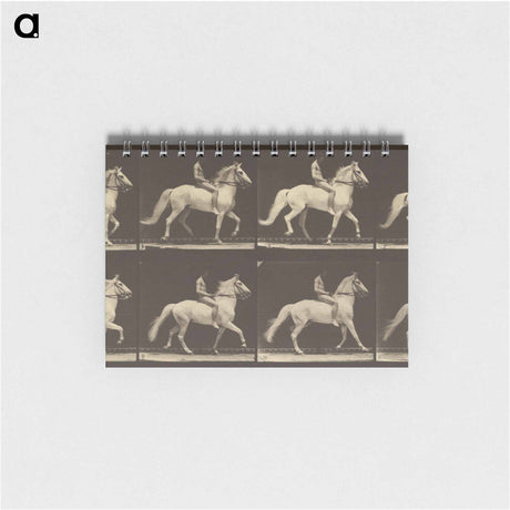 アートメモ帳-Animal Locomotion
 - エドワード マイブリッジ Memo.