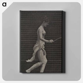 アートパネル-Skipping Woman
 - エドワード マイブリッジ Canvas.