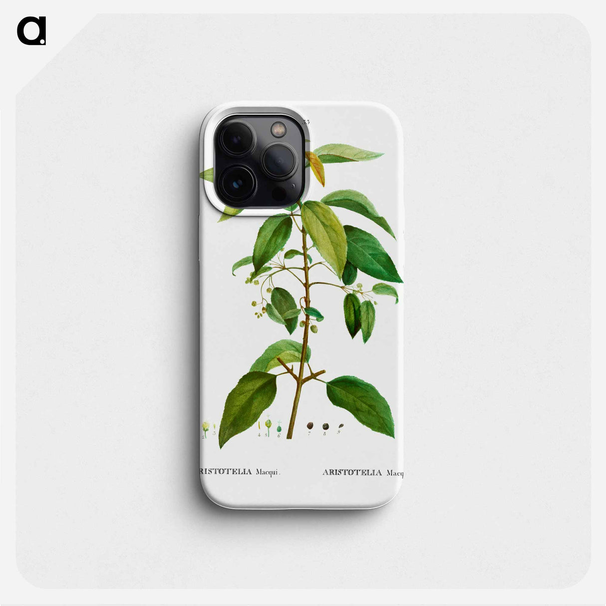 Maqui (Aristotelia Maqui) - Pierre Joseph Redouté Phone Case.