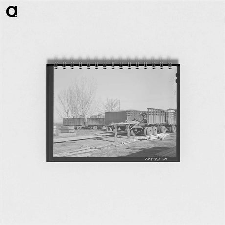 アートメモ帳-Dehydrated Cabbage Quality
 - ラッセル リー Memo.