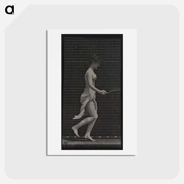 アートポストカード-Skipping Woman
 - エドワード マイブリッジ Postcard.
