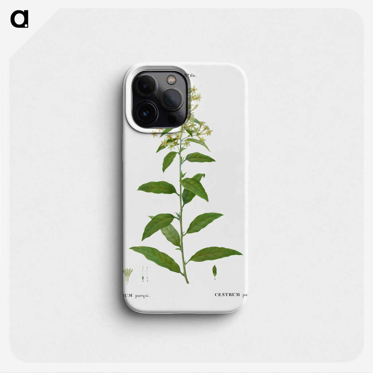 Green cestrum, Cestrum parqui - Pierre Joseph Redouté Phone Case.