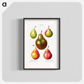 アートポスター-Pear, Pyrus communis - ピエール ジョゼフ ルドゥーテ Poster.