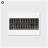 アートポストカード-Woman with Load
 - エドワード マイブリッジ Postcard.