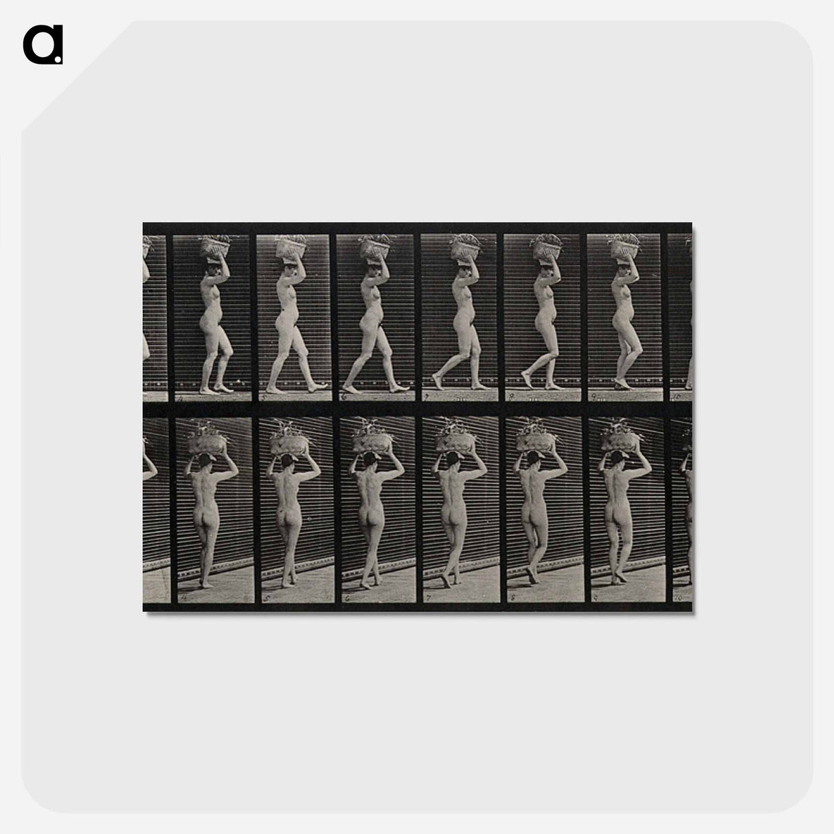 アートポストカード-Woman with Load
 - エドワード マイブリッジ Postcard.