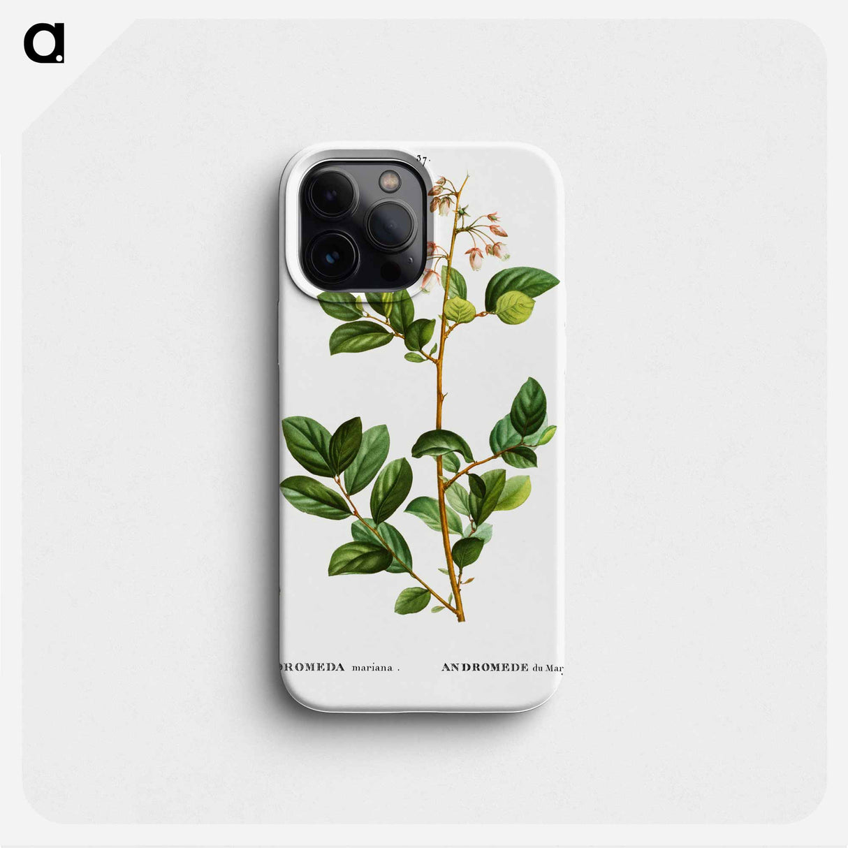 Andromeda mariana - ピエール ジョゼフ ルドゥーテ Phone Case.