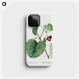 Dutchman's pipe - ピエール ジョゼフ ルドゥーテ Phone Case.