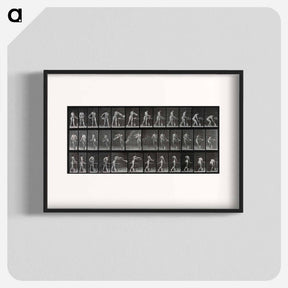 アートポスター-Woman with Bowl
 - エドワード マイブリッジ Poster.