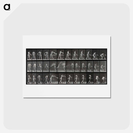 アートポストカード-Woman with Bowl
 - エドワード マイブリッジ Postcard.