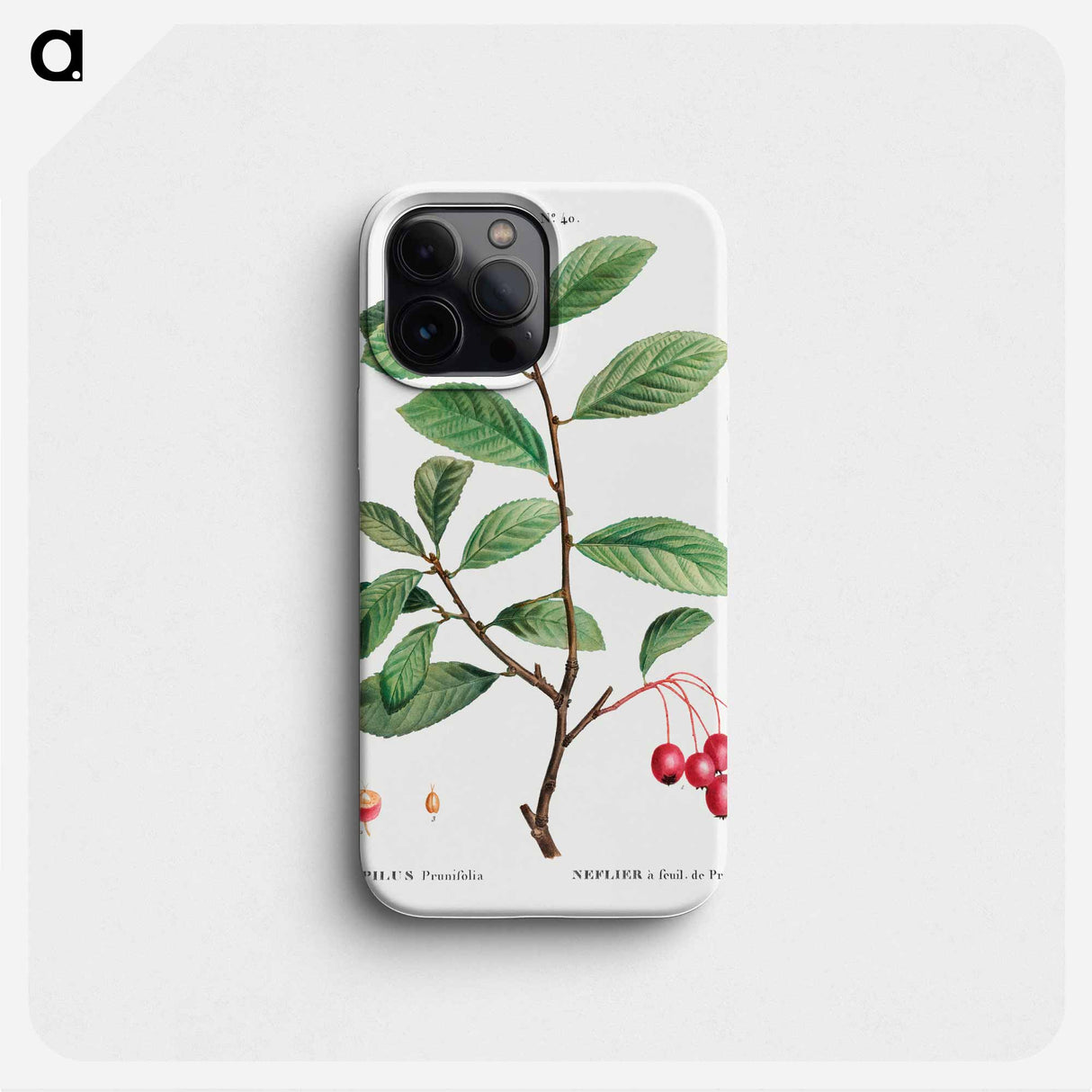 Broad-leaved cockspur thorn, Mespilus prunifolia - Pierre Joseph Redouté Phone Case.