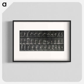 アートポスター-Placing the Rug
 - エドワード マイブリッジ Poster.