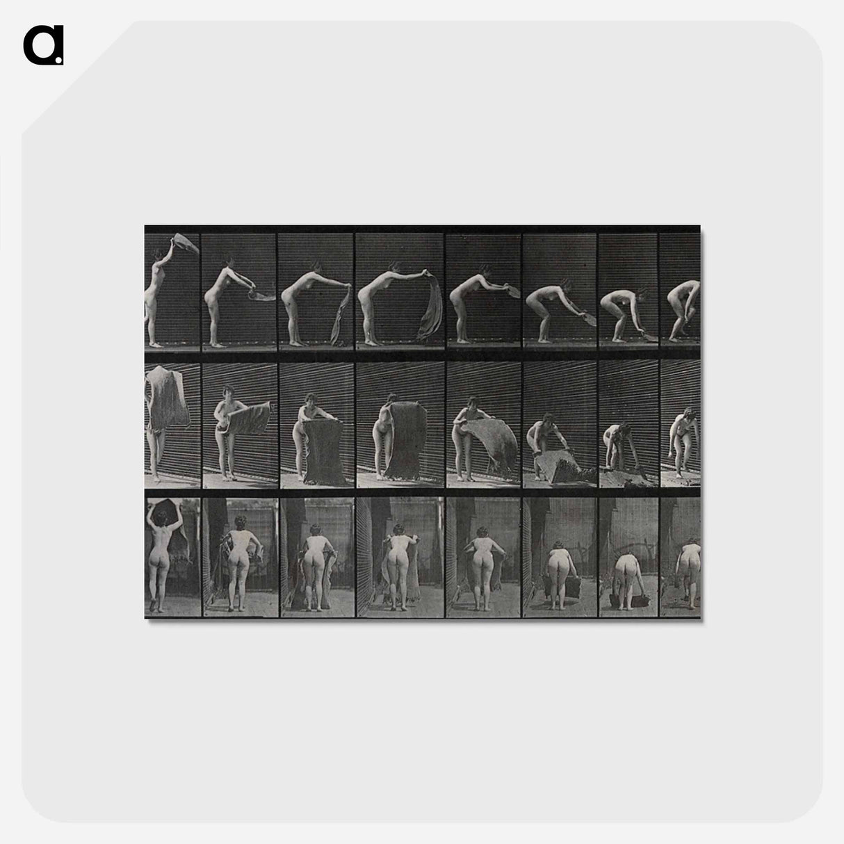 アートポストカード-Placing the Rug
 - エドワード マイブリッジ Postcard.