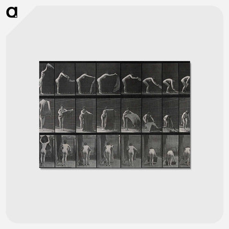 アートポストカード-Placing the Rug
 - エドワード マイブリッジ Postcard.