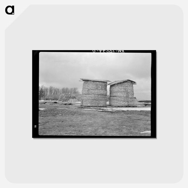 アートポストカード-Open Corn Crib
 - ラッセル リー Postcard.