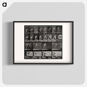 アートポスター-Water Thrower
 - エドワード マイブリッジ Poster.