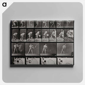 アートパネル-Water Thrower
 - エドワード マイブリッジ Canvas.