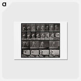 アートポストカード-Water Thrower
 - エドワード マイブリッジ Postcard.
