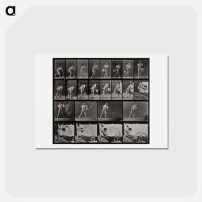 アートポストカード-Water Thrower
 - エドワード マイブリッジ Postcard.