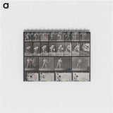 アートメモ帳-Water Thrower
 - エドワード マイブリッジ Memo.