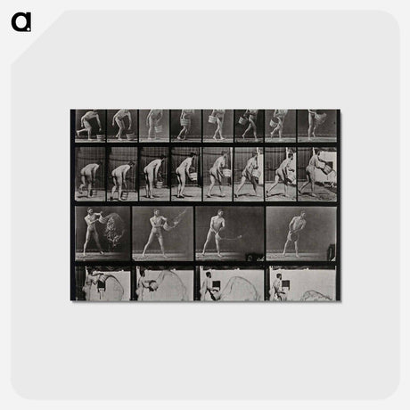 アートポストカード-Water Thrower
 - エドワード マイブリッジ Postcard.