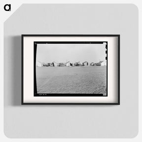 アートポスター-Farm Security Administration (FSA) emergency migratory labor camp. Row of tents, homes of pea pickers seem across recreational grounds. Near Calipatria, Imperial Valley, California - ドロテア ラング Poster.