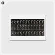アートポストカード-Man with Trunk
 - エドワード マイブリッジ Postcard.