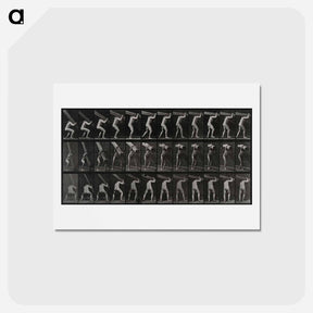 アートポストカード-Man with Trunk
 - エドワード マイブリッジ Postcard.