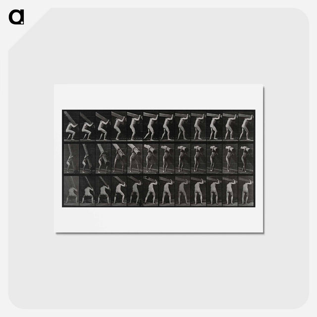アートポストカード-Man with Trunk
 - エドワード マイブリッジ Postcard.