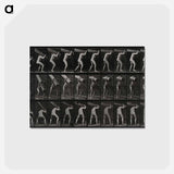 アートポストカード-Man with Trunk
 - エドワード マイブリッジ Postcard.