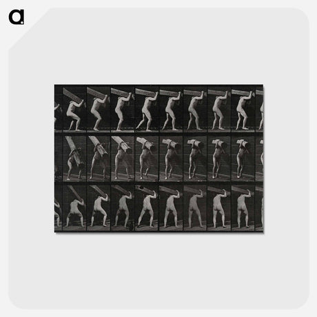 アートポストカード-Man with Trunk
 - エドワード マイブリッジ Postcard.