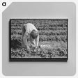 アートパネル-Unloading Gravel
 - ラッセル リー Canvas.