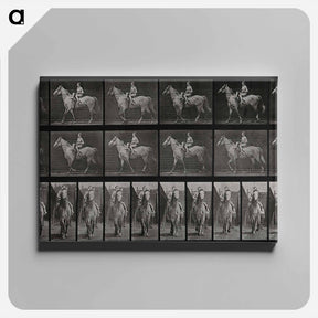 アートパネル-Sidesaddle
 - エドワード マイブリッジ Canvas.