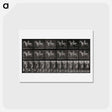 アートポストカード-Sidesaddle
 - エドワード マイブリッジ Postcard.