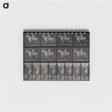 アートメモ帳-Sidesaddle
 - エドワード マイブリッジ Memo.