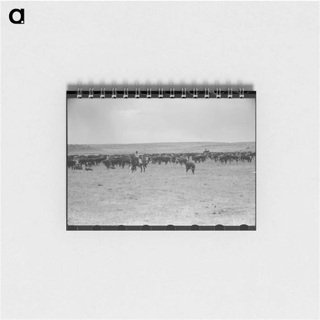 アートメモ帳-Silver Bow County Road
 - ラッセル リー Memo.