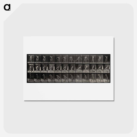 アートポストカード-The Digger
 - エドワード マイブリッジ Postcard.