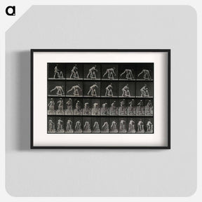 アートポスター-Picking Up a Pot
 - エドワード マイブリッジ Poster.