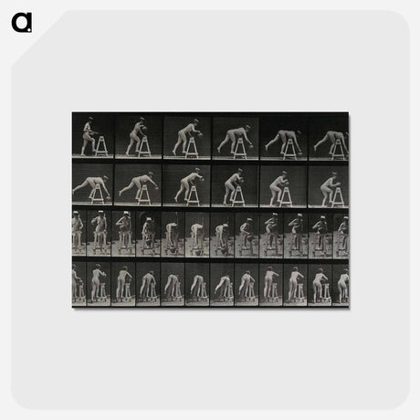 アートポストカード-Picking Up a Pot
 - エドワード マイブリッジ Postcard.