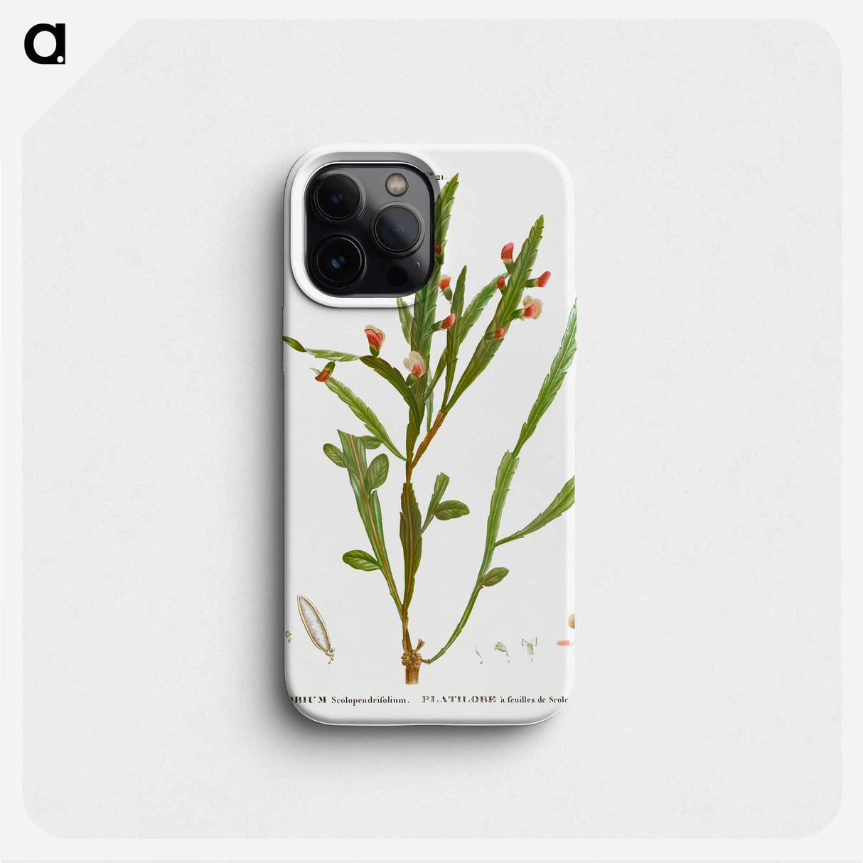 Flat-pea - Pierre Joseph Redouté Phone Case.