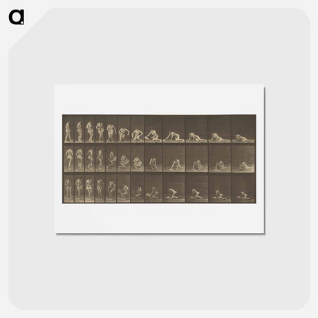 アートポストカード-Animal Locomotion
 - エドワード マイブリッジ Postcard.