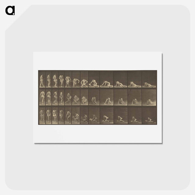 アートポストカード-Animal Locomotion
 - エドワード マイブリッジ Postcard.