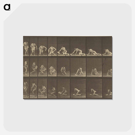 アートポストカード-Animal Locomotion
 - エドワード マイブリッジ Postcard.