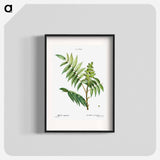 Staghorn sumac - Pierre Joseph Redouté Poster.