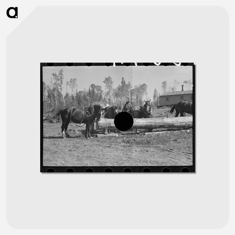 アートポストカード-Loading Pulpwood at Camp
 - ラッセル リー Postcard.
